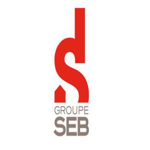 Groupe SEB Egypt ( Customer Services for Moulinex :Tefal ) hotline number, customer service number, phone number, egypt